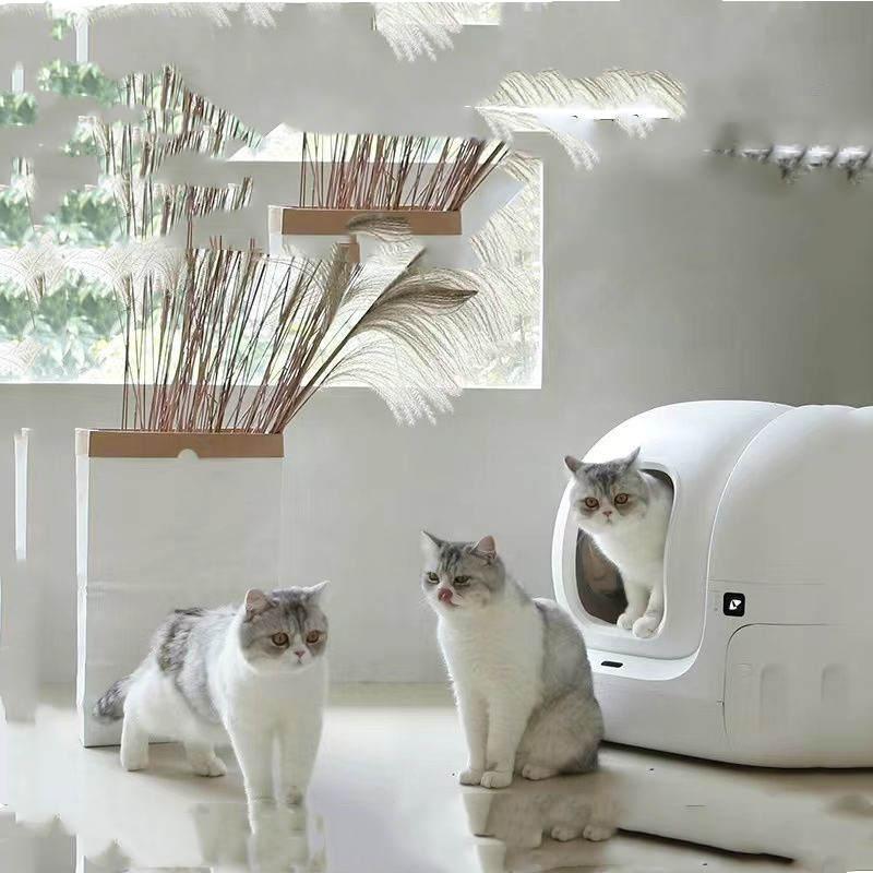 Fully Automatic Cat Litter Box - TheGadgetNexus1